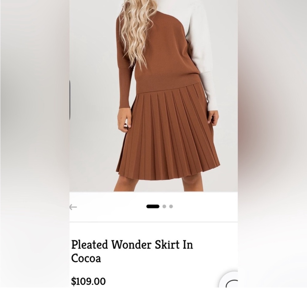 NWT ALEEZA PARIS Elegant Brown Pleated Skirt - Picture 3 of 5